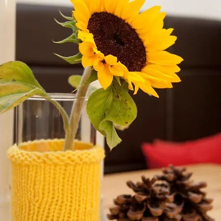 Aparthotel 4 Jahreszeiten