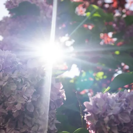 4 Jahreszeiten * Fiss