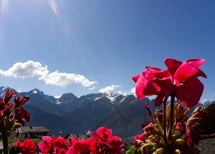 Aparthotel 4 Jahreszeiten *