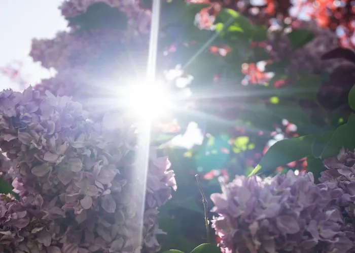 4 Jahreszeiten * Fiss