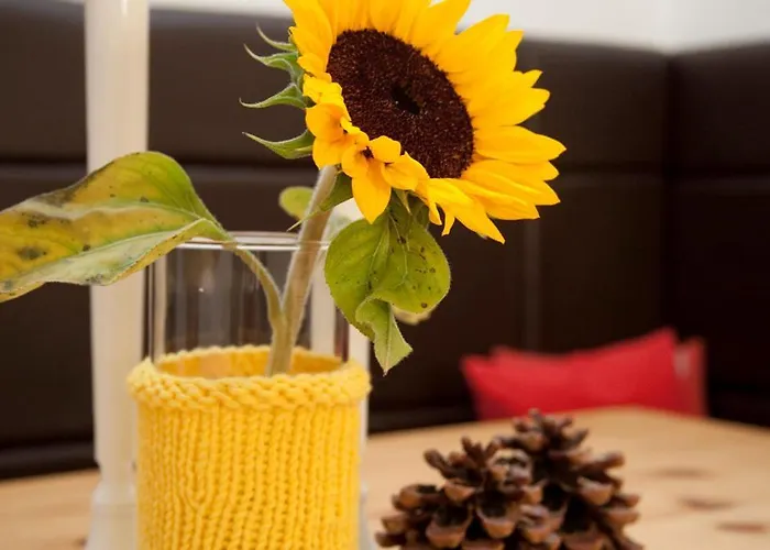 Апарт-отель 4 Jahreszeiten